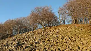 Blockhalde