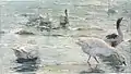 Gänse