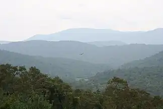 Blick in die Blauen Berge am Blue Ridge Parkway