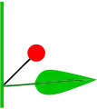 Blüte und Tragblatt