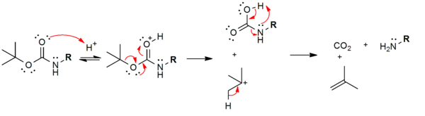 Abspaltungsmechanismus der Boc-Schutzgruppe