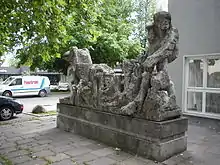 Schwarze Hofmännin
