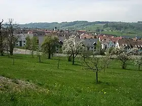 Bonstetten Frühling 2009