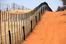 Links der Grenzzaun zwischen Namibia und Botswana Rechts der Farmzaun des angrenzenden namibischen Farmers Blick Richtung Süden (2018)