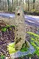 Menhir Le Haute-Borne