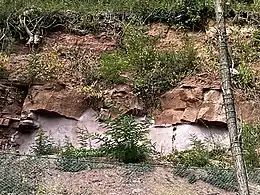 Buntsandsteinwand an der Bortkelter (Bruchschollen)