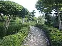 Botanischer Garten von Santo Domingo