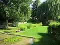 Nutzpflanzen, Teich- und Sumpfpflanzen