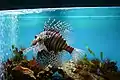 Aquarium