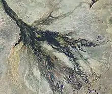 Wurzelartig aufgefächertes, in die Umgebung auslaufendes Delta