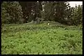 Dolmen von Vrångstad