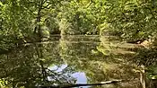 Teich im Wald von Bouconne