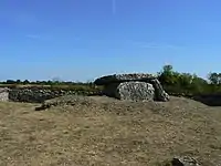 Dolmen des Sept Chemins