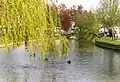 Flüsschen Windrush