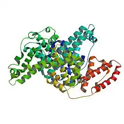 Serum albumin