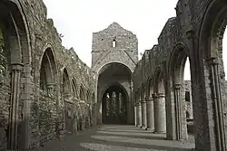 Kirchenschiffruine der Boyle Abbey