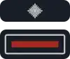 stv. Wehrführer/-in