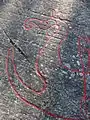 Detail des Bugs