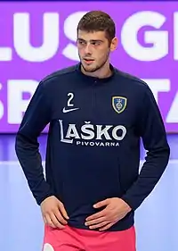 Branko Vujović