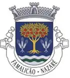 Wappen von Famalicão