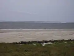 Die Brauerplate von Borkum aus gesehen. Die Entfernung beträgt etwa drei Kilometer.