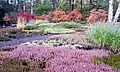 Heidegarten Anfang November