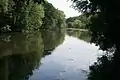 vorgelagerter Mühlenteich