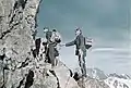 Brieftaubenpatrouille im Gebirge
