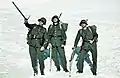 Brieftaubenpatrouille im Schnee