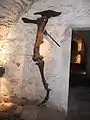 Zusammenhängende Skelettfragmente