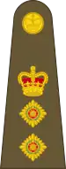 Colonel derBritish Army