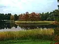 Herbststimmung
