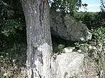 Dolmen Chantepierre