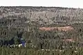 Bruchberg-Südseite vom Großen Sonnenberg aus; vorne die B 242