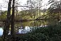 Offene Wasserfläche im Naturschutzgebiet (2020)