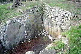 Kopfseite