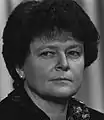 Gro Harlem Brundtland, Det norske Arbeiderparti