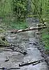 Naturbelassener Brunnbach
