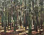 Waldinneres
