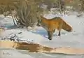 Winterlandschaft mit Fuchs