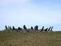 Bryn Cader Faner