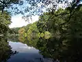 Oberer Teich mit Blick nach Nordosten, in Richtung Bogensee