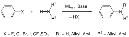 Buchwald-Hartwig-Kupplung