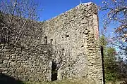 Die Burgruine