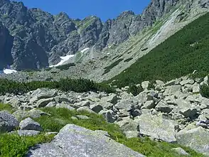 Dolina Buczynowa