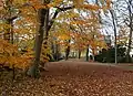 Bürgermeistergarten