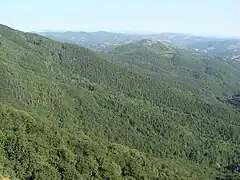 Naturpark Balgarka