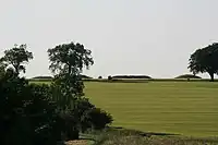 Bully Hills