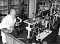 Chemische Untersuchung mit dem Mikroschmelzpunktapparat. Zur ungefähren Arbeitsrichtung für eine Analyse, wenn wenig Untersuchungsmaterial vorhanden ist (1961).