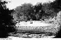Fischfluss bei Seeheim (zwischen 1906 und 1918)